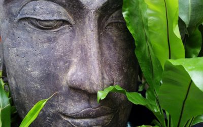 Dent de sagesse : symbolique dentaire