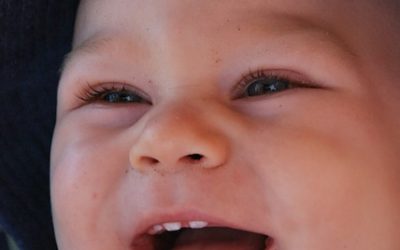 Anneaux de dentition et perturbateurs endocriniens