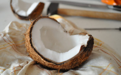 Recette : bain de bouche à l’huile de coco